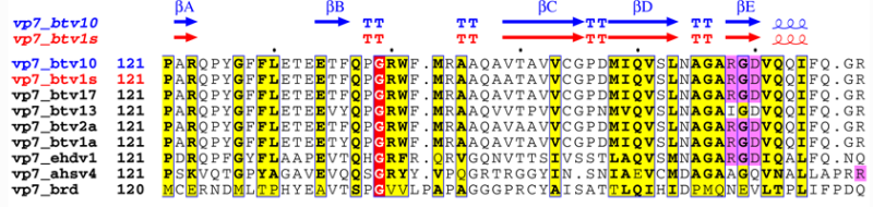 다중서열정렬 (multiple sequence alignment, MSA) 시각화 : 네이버 블로그