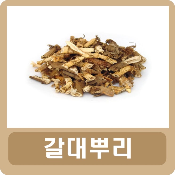  갈대뿌리 효능 및 부작용, 차 먹는 법(노근)