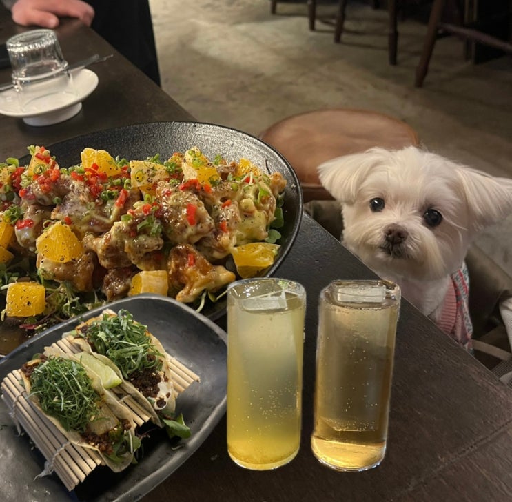  광안리 하이볼 맛집 불불불불(不不不不) | 애견동반이 가능한 광안리 신상 한식퓨전 바 | 광안리 데이트코스 추천