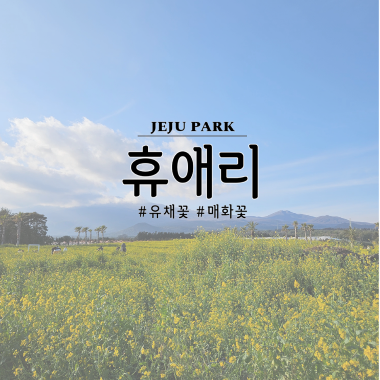  제주 서귀포, 휴애리자연생활공원