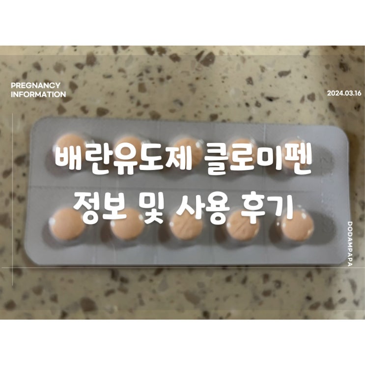 배란유도제 클로미펜 정보 및 사용 후기 배란유도제 클로미펜 정보 및 사용 후기