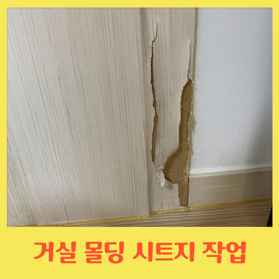 거실 몰딩 보수 시트지 작업하기