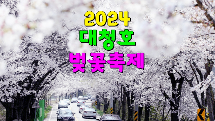 대전 3월축제 대청호 드라이브코스! 2024 대청호 벚꽃축제 (기본정보, 주차장, 벚꽃 개화시기) 대전 3월축제 대청호 드라이브코스! 2024 대청호 벚꽃축제 (기본정보, 주차장, 벚꽃 개화시기)