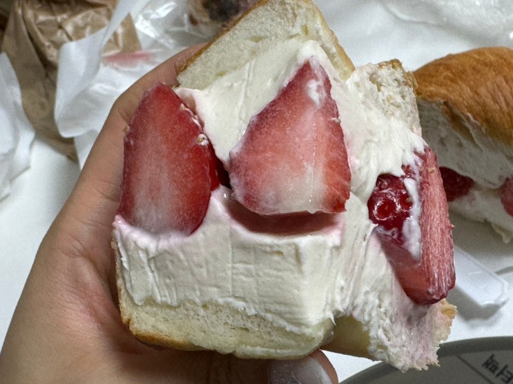  제주 베이글 맛집 빵지순례 히포파운드 예약 택배 방문포장 후기