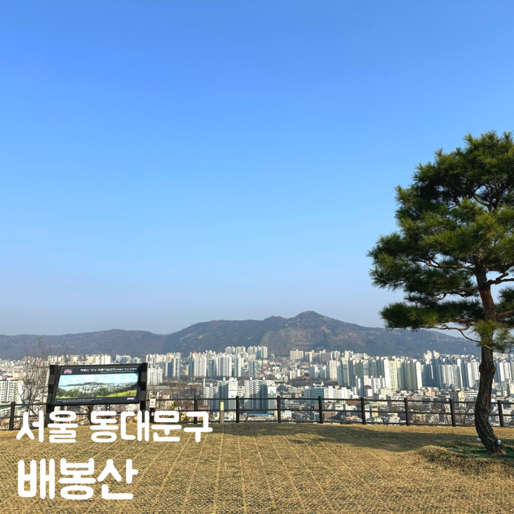  동대문구 배봉산 정상 둘레길 숲속도서관 산책