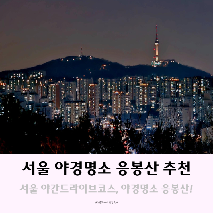 서울 야간드라이브 코스 아름다운 응봉산 서울야경명소 추천 서울 야간드라이브 코스 아름다운 응봉산 서울야경명소 추천