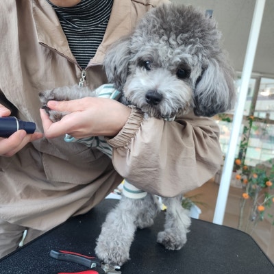 사진 5