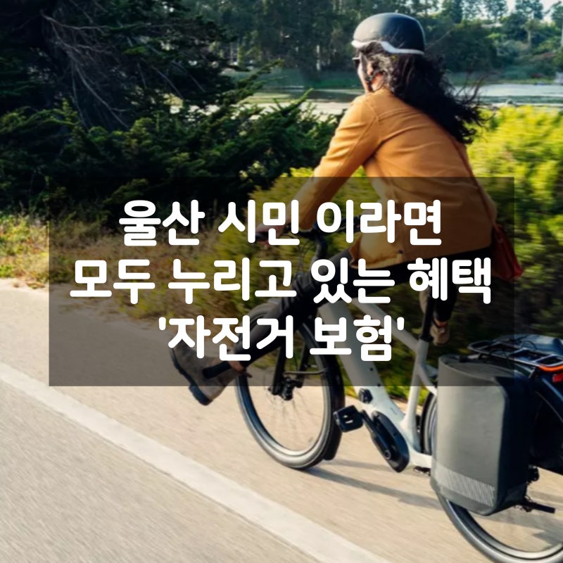 울산 시민 이라면 자전거 보험 가입할 필요 없습니다.