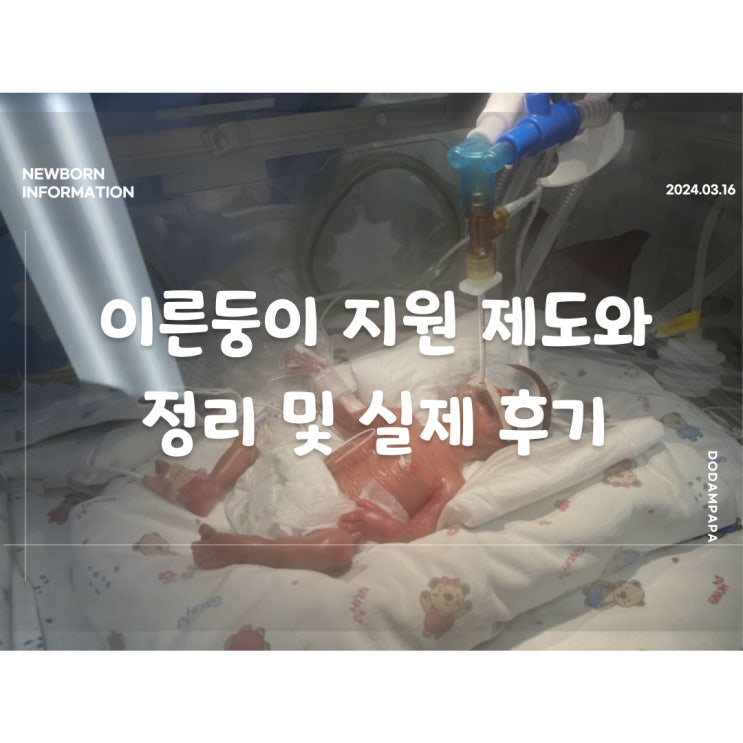 이른둥이 지원과 물품에 대한 정리 및 실제 후기 이른둥이 지원과 물품에 대한 정리 및 실제 후기