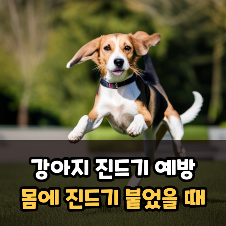  강아지 진드기 예방 방법, 몸에 작은 진드기 붙었는지 확인하기