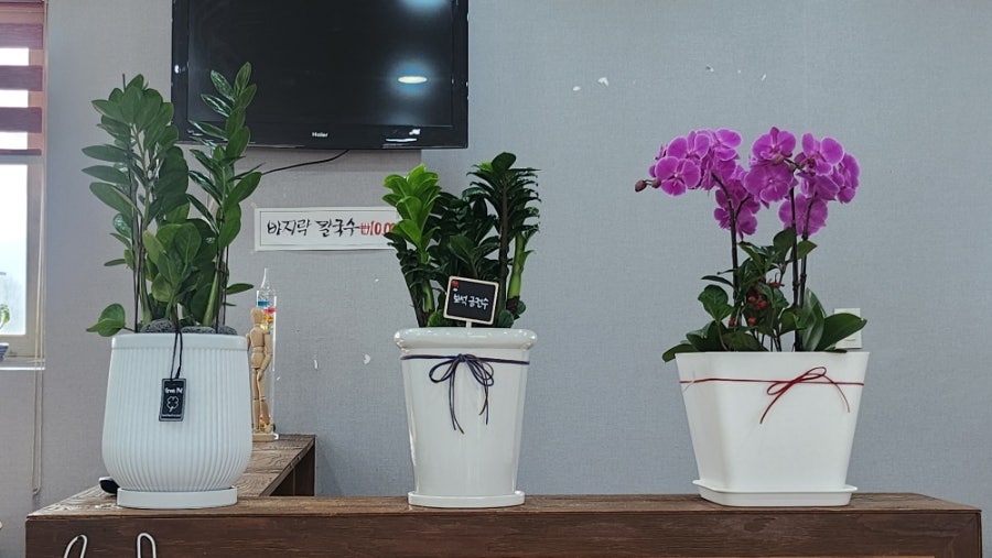 참밀칼국수전문점 사진 4