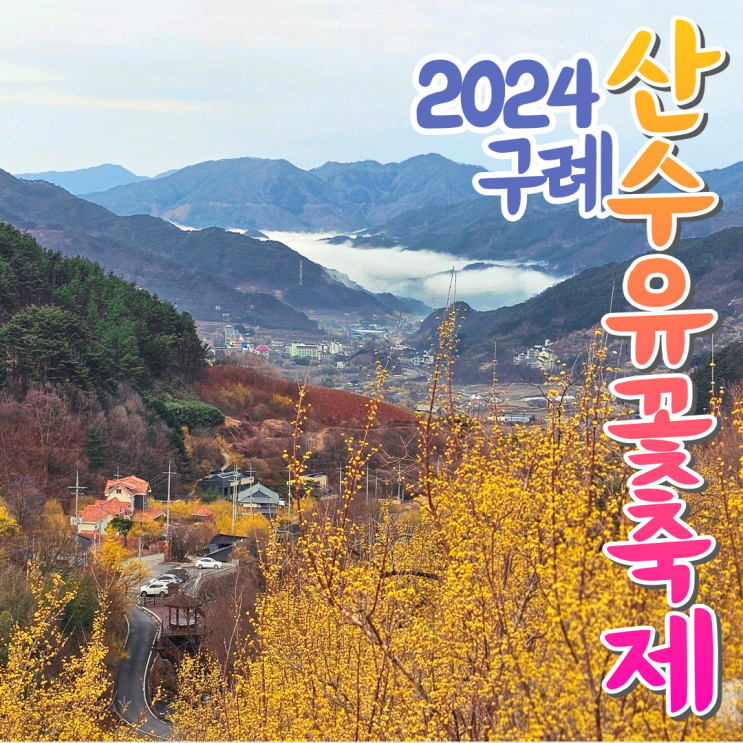  구례산수유축제 처음으로 다녀왔어요 (3/12개화상태)
