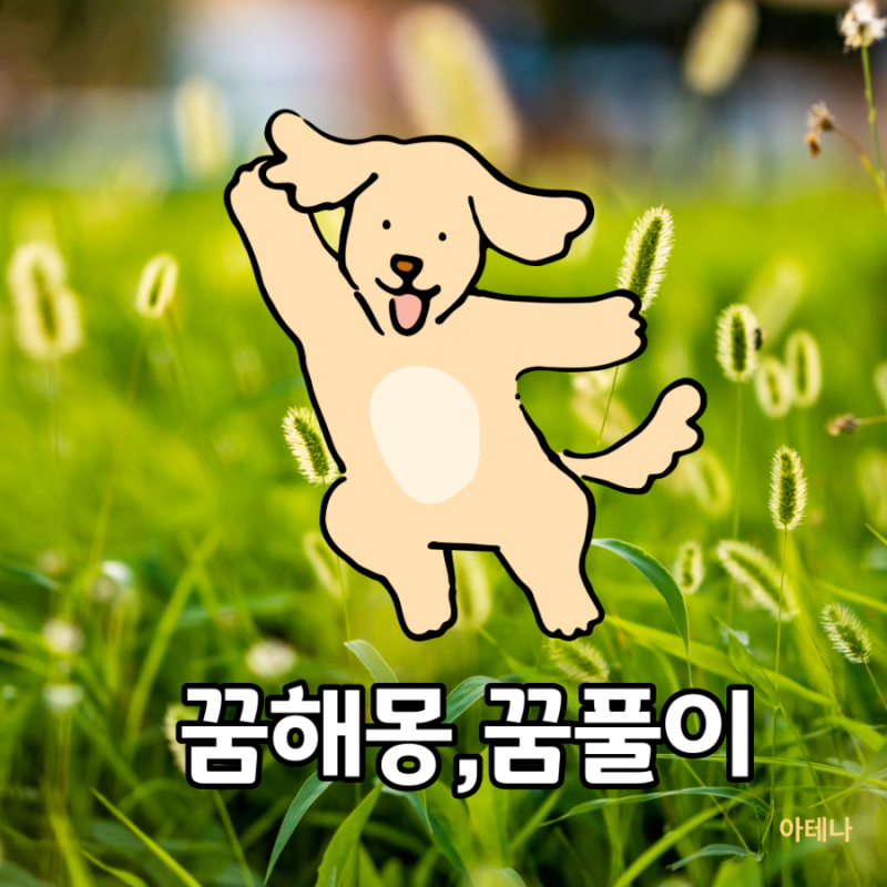 개똥꿈 해몽 강아지똥꿈 풀이 총정리 자세히 알려드려요