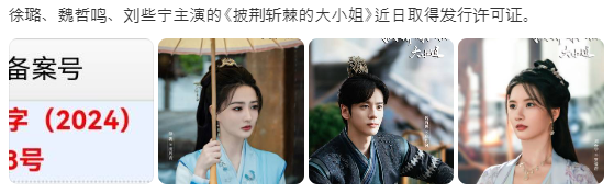  피형참극적대소저(披荆斩棘的大小姐) 발행 허가
