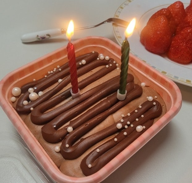  애견동반 카페 달콤공장 봉담도시락케이크