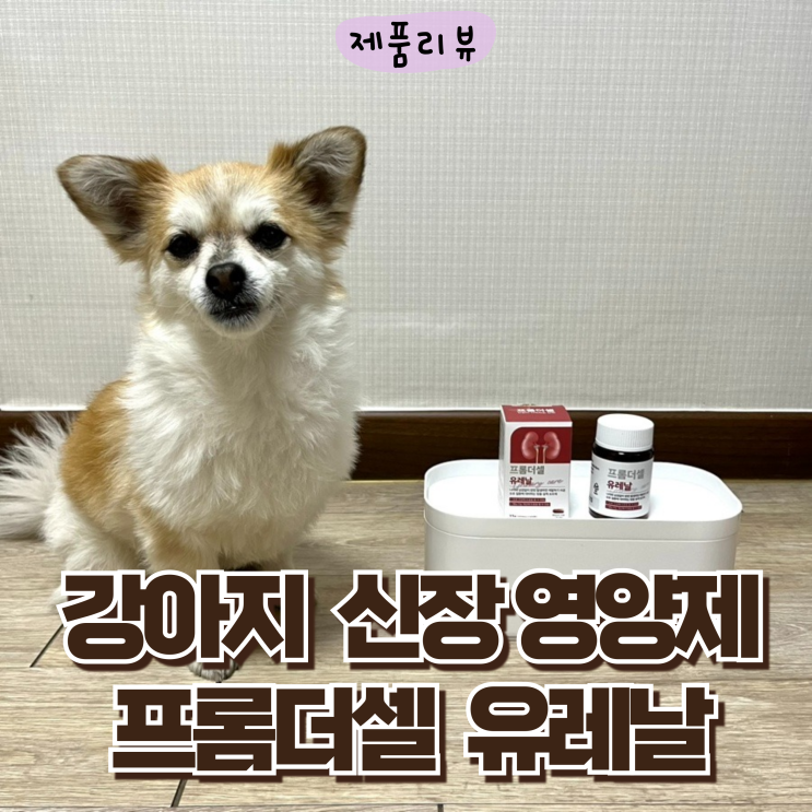 <b>강아지</b> 요로결석 <b>방광염</b> <b>신장영양제</b> 프롬더셀 <b>유레날</b>