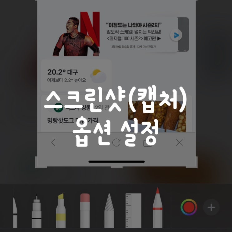  스크린샷(캡처) 옵션 설정