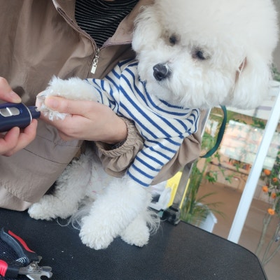 사진 6
