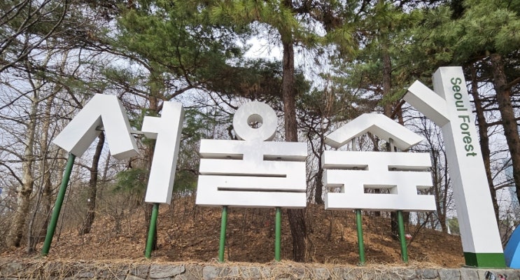  3월 서울숲 꽃사슴방사장/11번 출입구