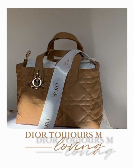  [디올 가방] 디올 <뚜주흐 미디엄 탠(DIOR Toujours)>구매후기