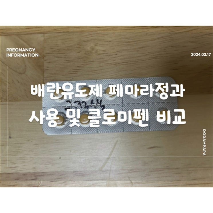 배란유도제 페마라정 정보 및 사용 후기 클로미펜과 비교