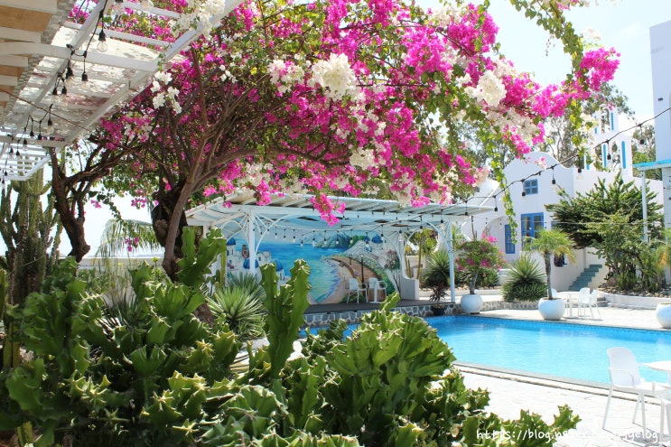  나트랑 산토리니 빌라 깜란공항 근처 가성비 0.5박 숙소 추천 [santorini villa]