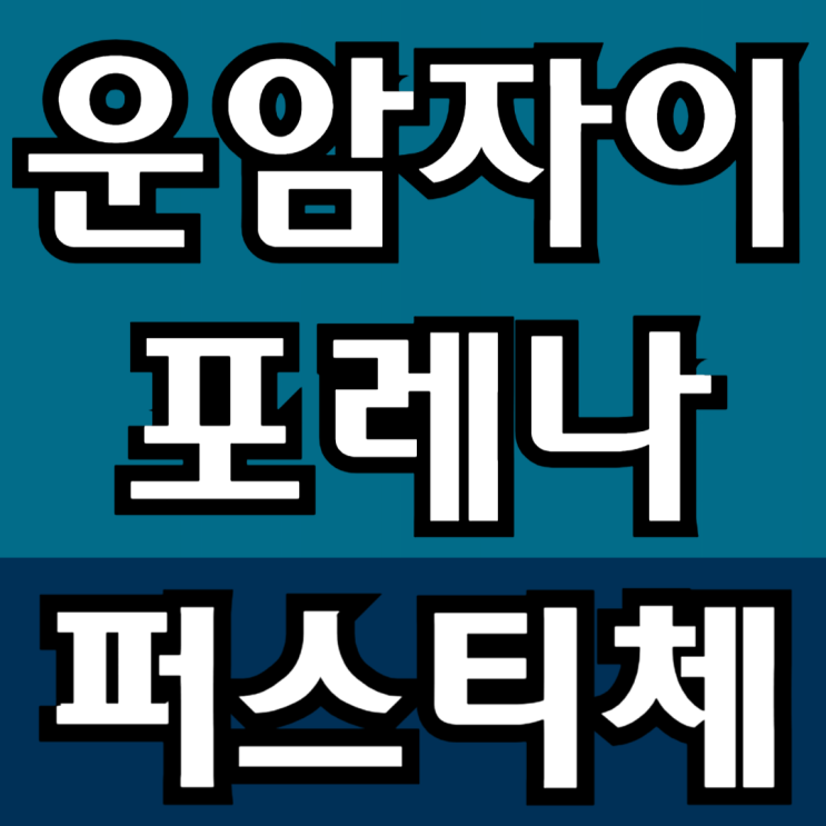  운암자이포레나 퍼스티체 분양안내