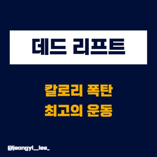  칼로리 소모 폭탄 운동 / 데드리프트