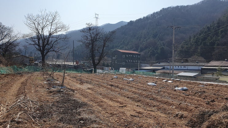  2024 도시농부 주말농장 준비하기