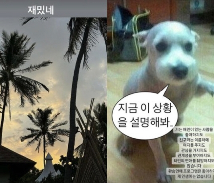 <b>한소희 블로그</b> 폭파 글 삭제, 강아지 사진 류준열 환승연애... 