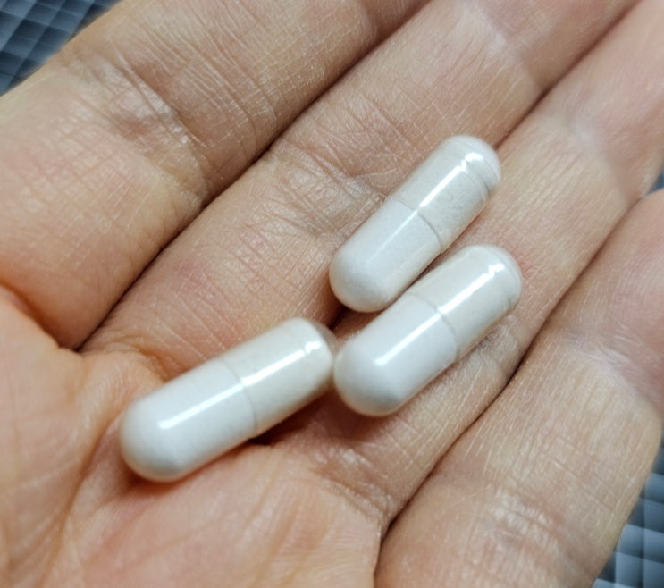  내돈내산 : 반려동물 구충제 파나쿠어 250mg 500mg 공캡슐로 알약 만들기 캡슐충진기 알약분쇄기 식물성 공캡슐