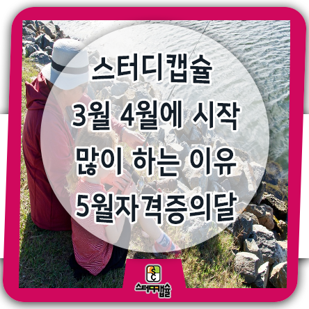 스터디캡슐스터디카페 3월-4월 시작하는 이유! 5월은 자격증의달 턴키 직영인테리어팀 있는 독서실프랜차이즈만 가능한 초고속오픈서비스와 시공실력 인정해 타사업대행받아 본사건물공사한업체