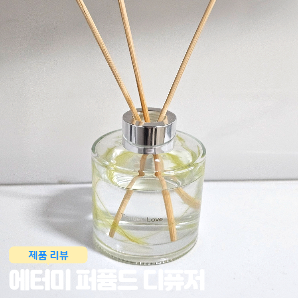  에터미 퍼퓸드 디퓨저 알러지프리 퍼퓸드 화장실 디퓨저