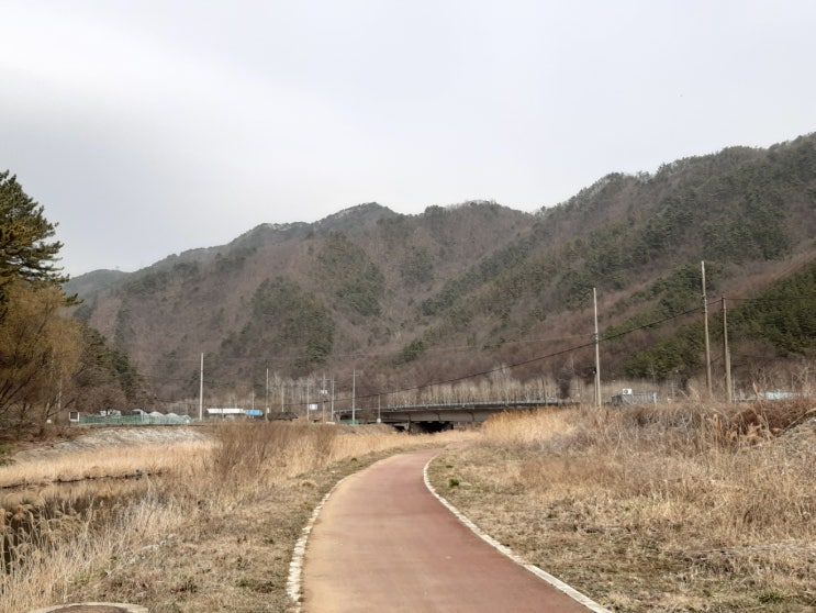  대전천 자전거라이딩 후기 (옥계동 ~ 삼괴동)