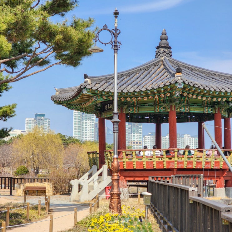  대전 한밭수목원 돗자리 펴고 피크닉 즐기기