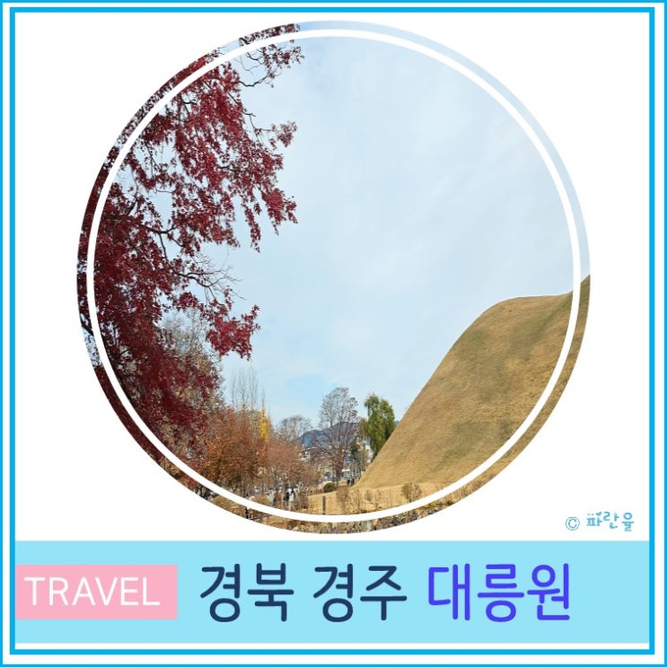  대구 부산 근교 가볼 만한 곳 경주 여행 대릉원 산책