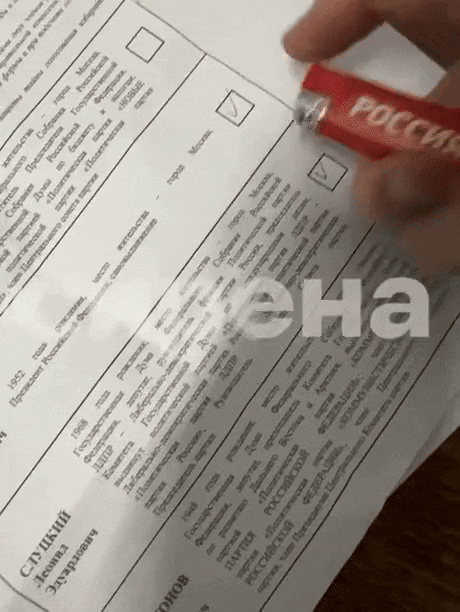싱글벙글 <b>러시아 대선 투표</b> 근황