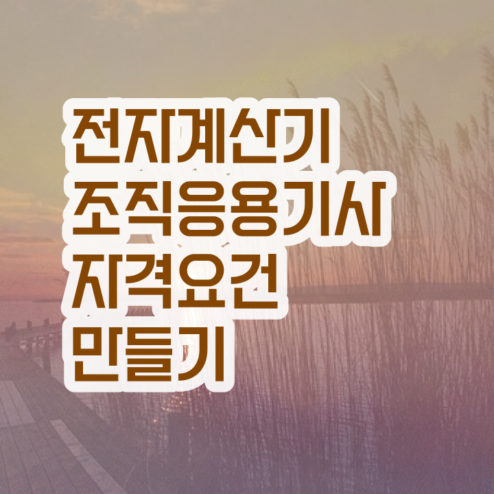  전자계산기조직응용기사 자격 요건  온라인 교육  여기부터 보고가세요 !