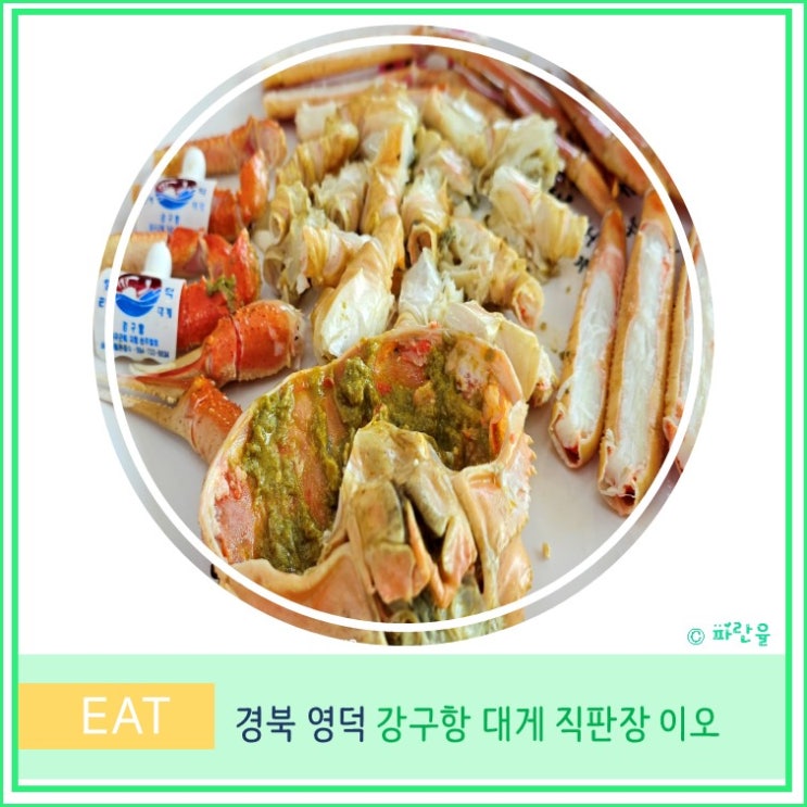  경북 영덕 대게 현지인 맛집 강구항 대게 직판장 이오