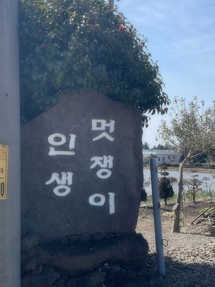  멋쟁이 인생