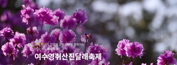  봄축제 여수 영취산진달래축제 3월 전남 봄꽃구경 가볼만한곳 흥국사 진달래동산 추천