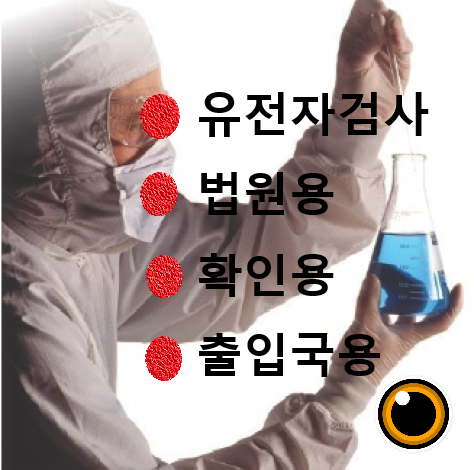 법원제출용 출입국사무소제출용 건강보험공단제출용 친자확인 유전자 검사