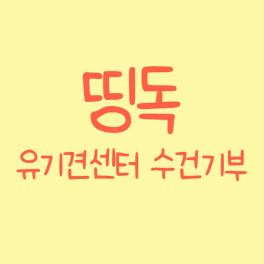  유기견센터 "띵독" 수건기부 방법