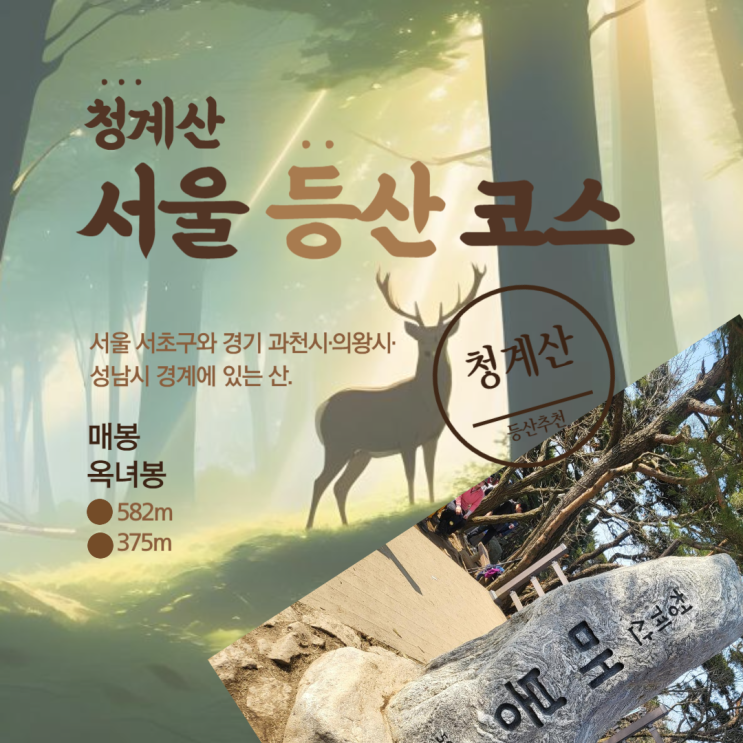  청계산입구역 등산 코스 청계산 주차 서울등산 추천