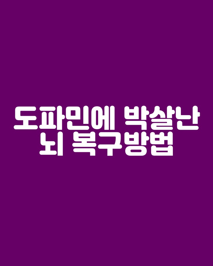  도파민에 박살 난 뇌 복구하는 법