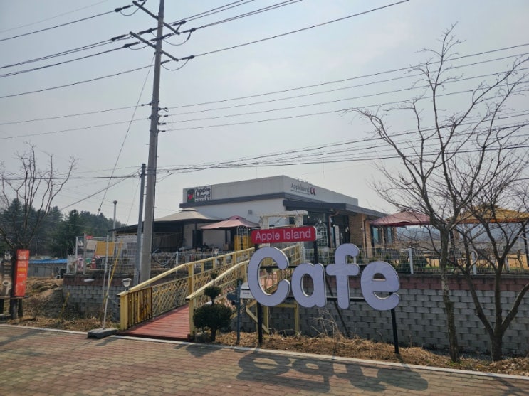  애플아일랜드