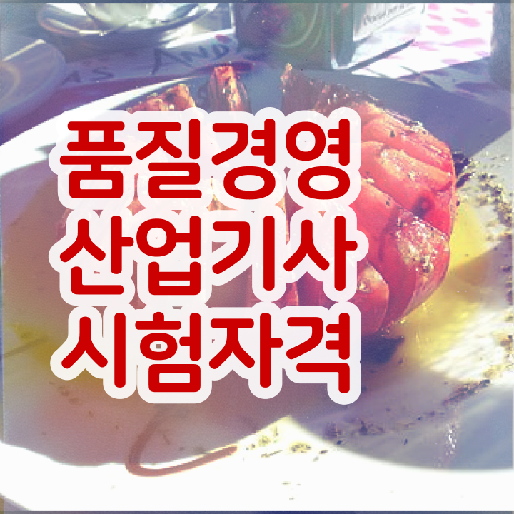  품질경영산업기사 전공  무료 강의  필수 정보 수록 ?