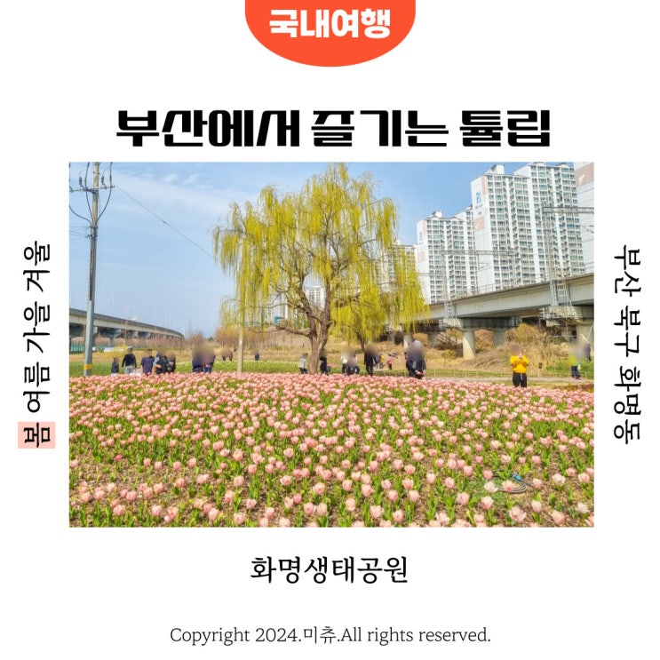  부산 화명생태공원 튤립 17일 개화상황 가까운 주차장