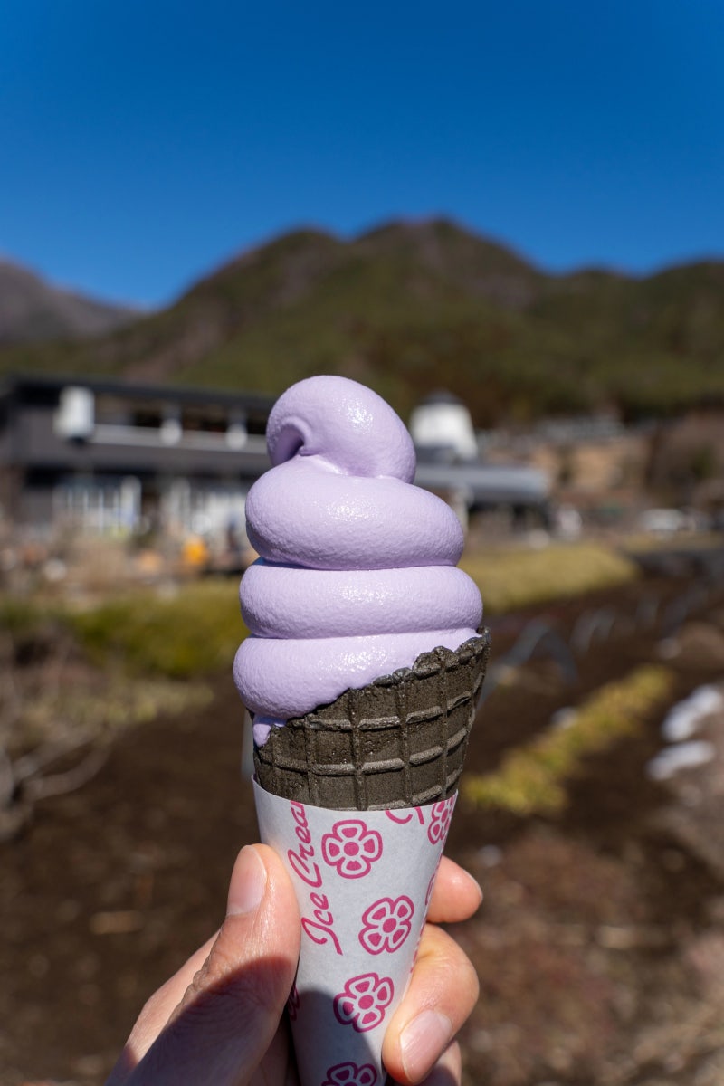 19일 일본 여행] 13일차 - 후지산 뷰 가와구치코, 도쿄 숙소 : 네이버 블로그