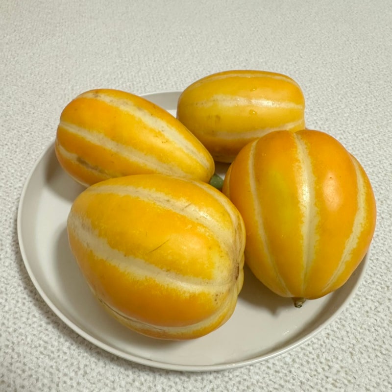 달콤한 성주참외 당도체크 (참외보관법) : 네이버 블로그